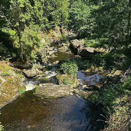 5 Sterne Barka *